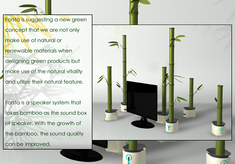 Grow A Bamboo To Get Better Sound