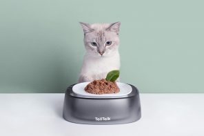 这种翻转猫碗避免食物溢出湿+干的饭菜，并防止晶须疲劳！