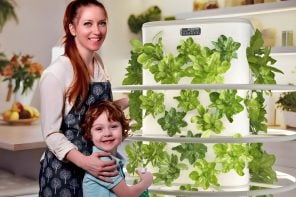 如何自动水培法室内花园一年四季带给你健康的蔬菜吗