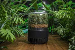 近70x比housePlants有效:生态友好空气净化器使用小型森林净化室内空气