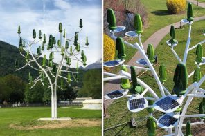 带太阳板树和风轮播提供自然启发清洁能源